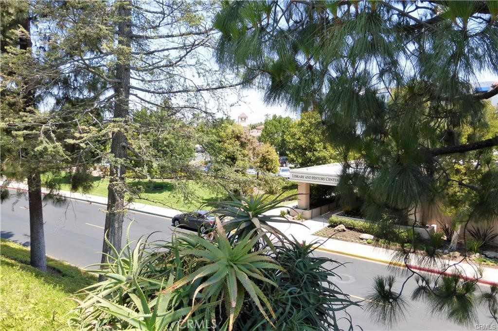 3249 San Amadeo O Property Photo 44