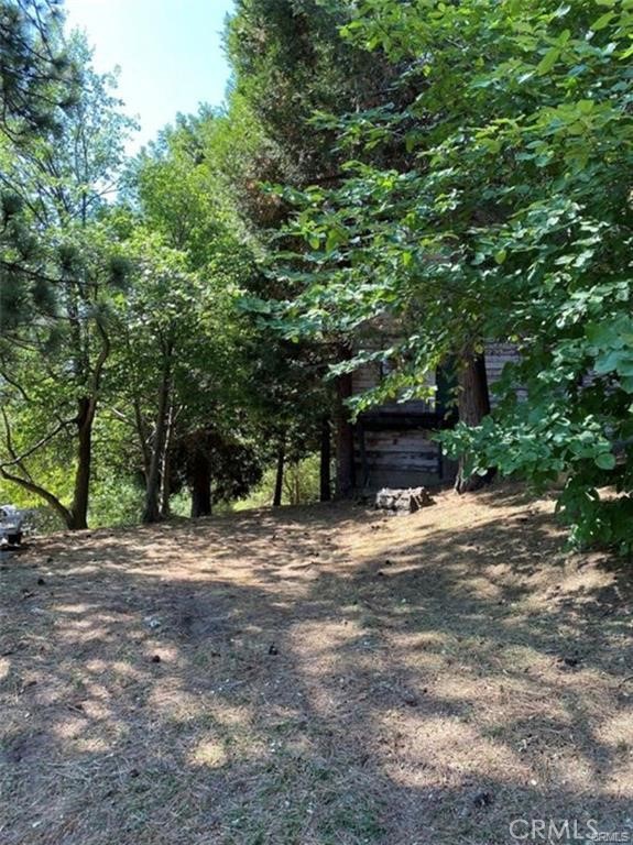 0 Pine Drive Property Photo 1