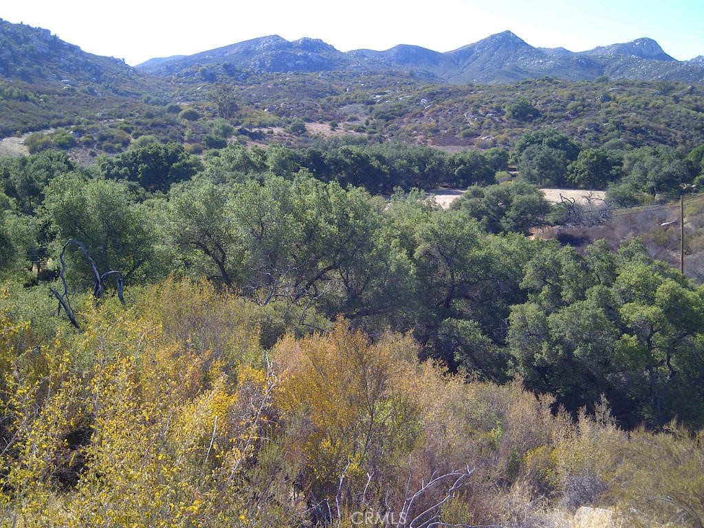 14469 Mussey Grade Road Property Photo 3