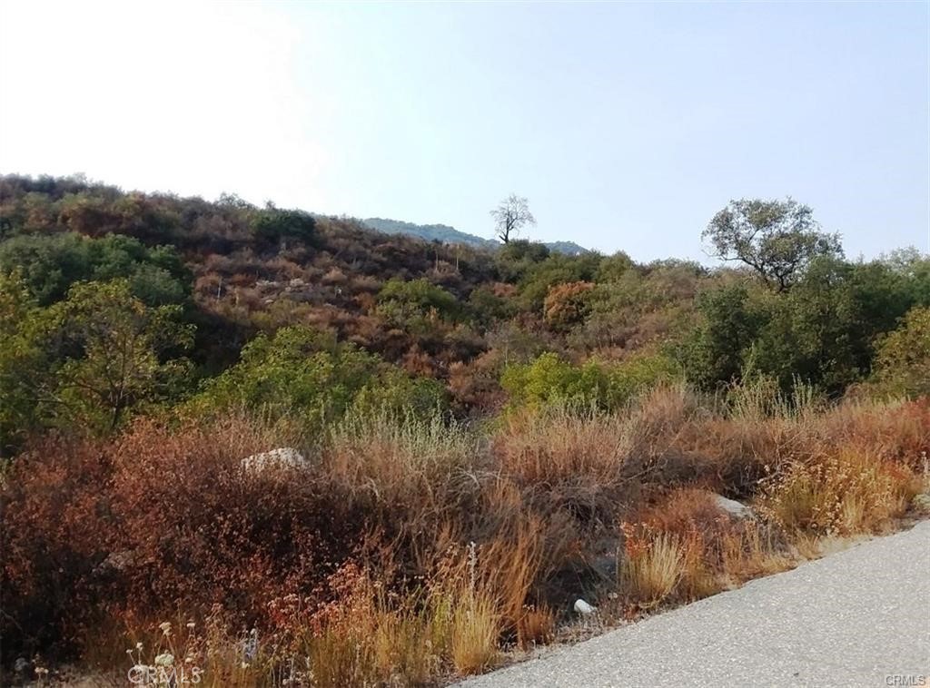 0 Carancho Road Property Photo 1