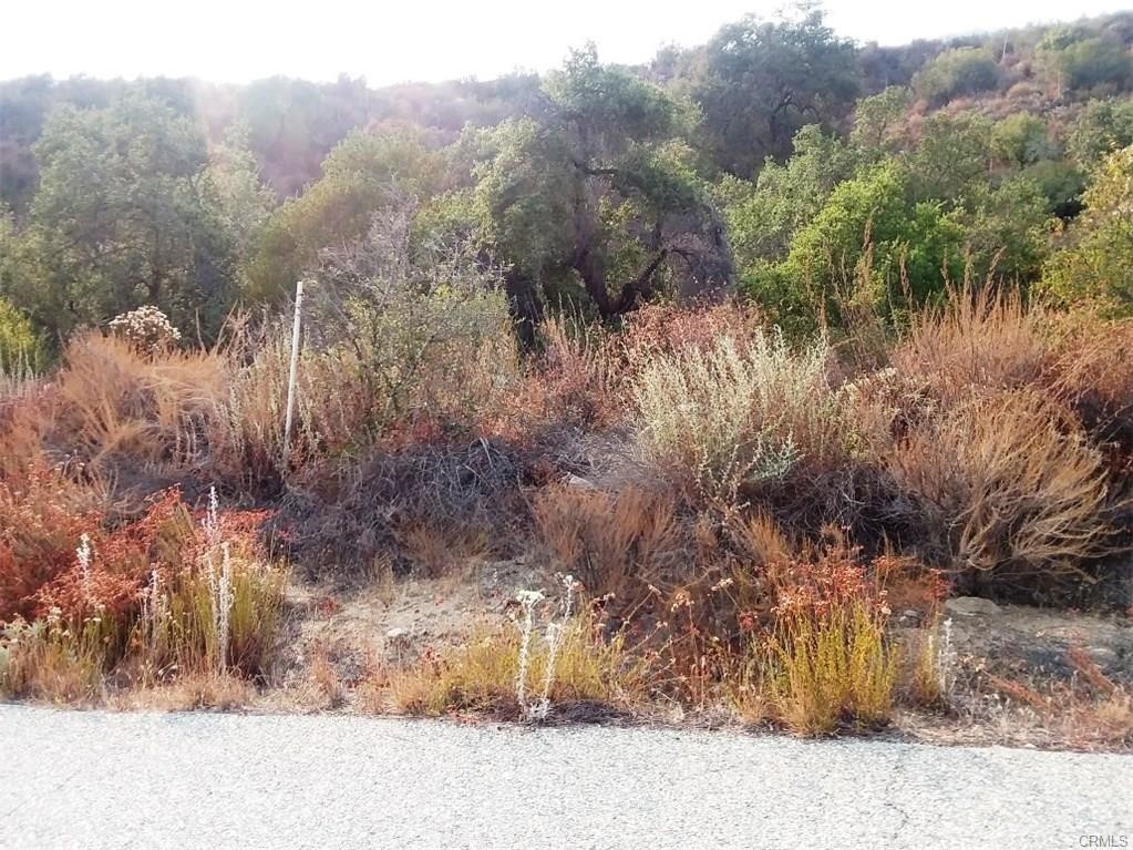 0 Carancho Road Property Photo 3