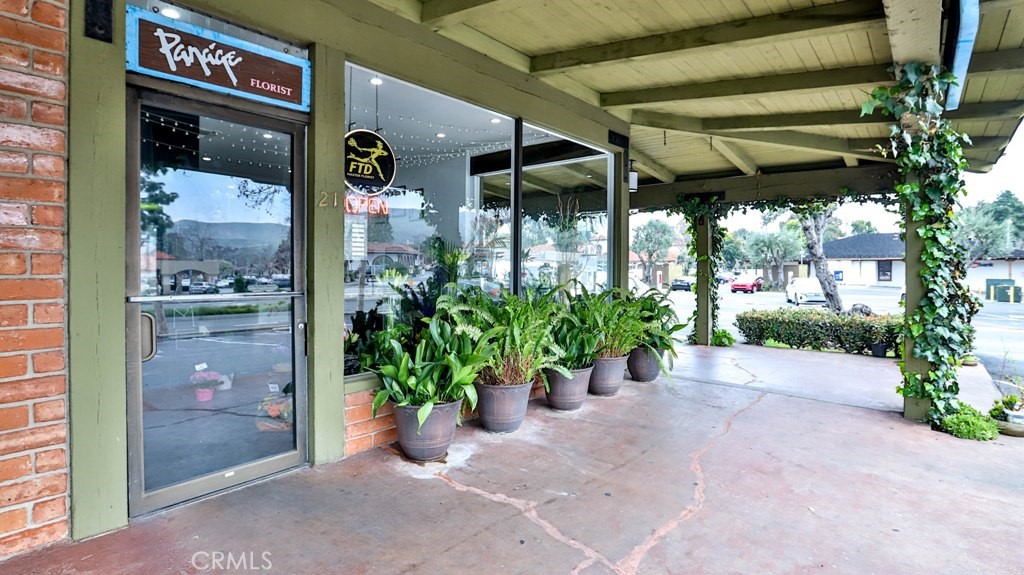31921 Camino Capistrano Property Photo 2
