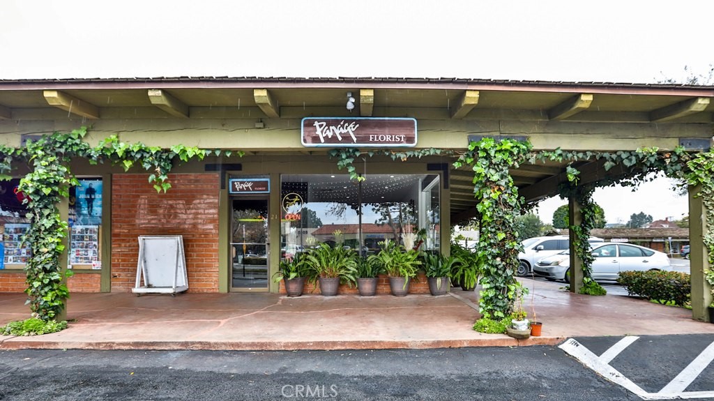 31921 Camino Capistrano Property Photo 4