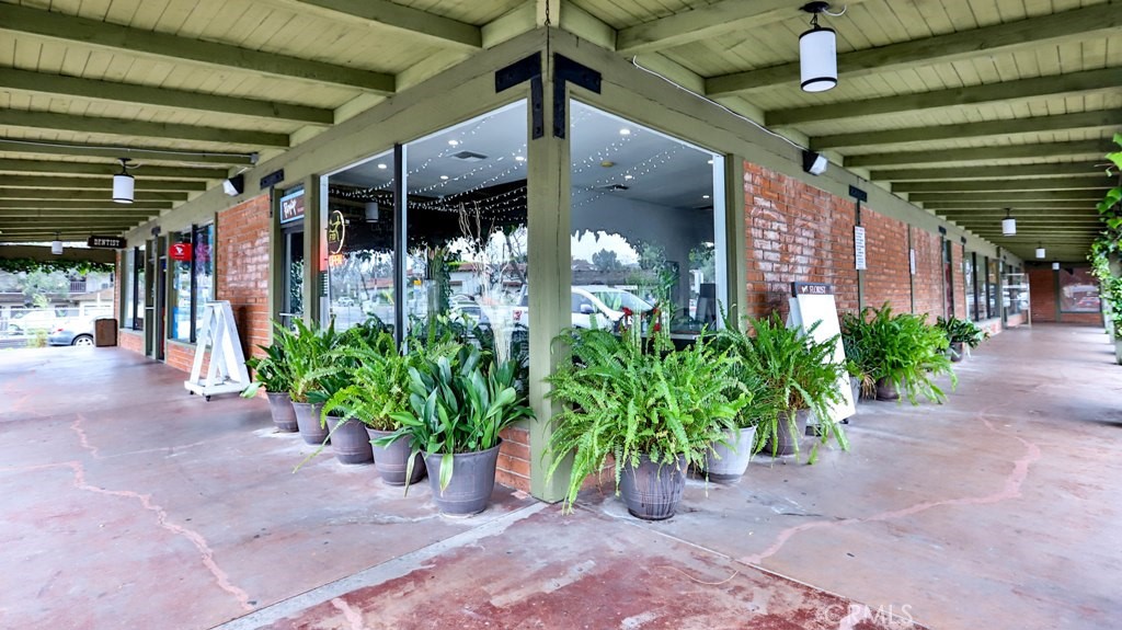 31921 Camino Capistrano Property Photo 6