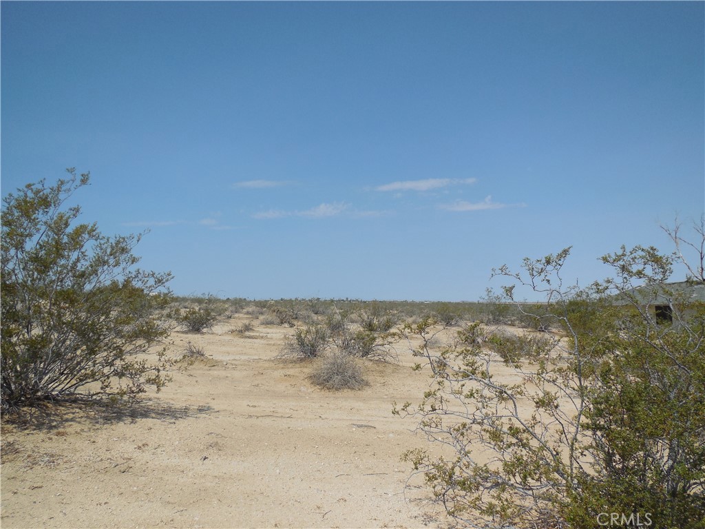 8130 Mesquite Springs Rd Property Photo 5