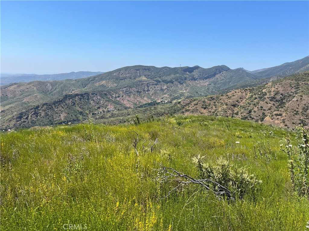 10 Williams Canyon Road Property Photo 2
