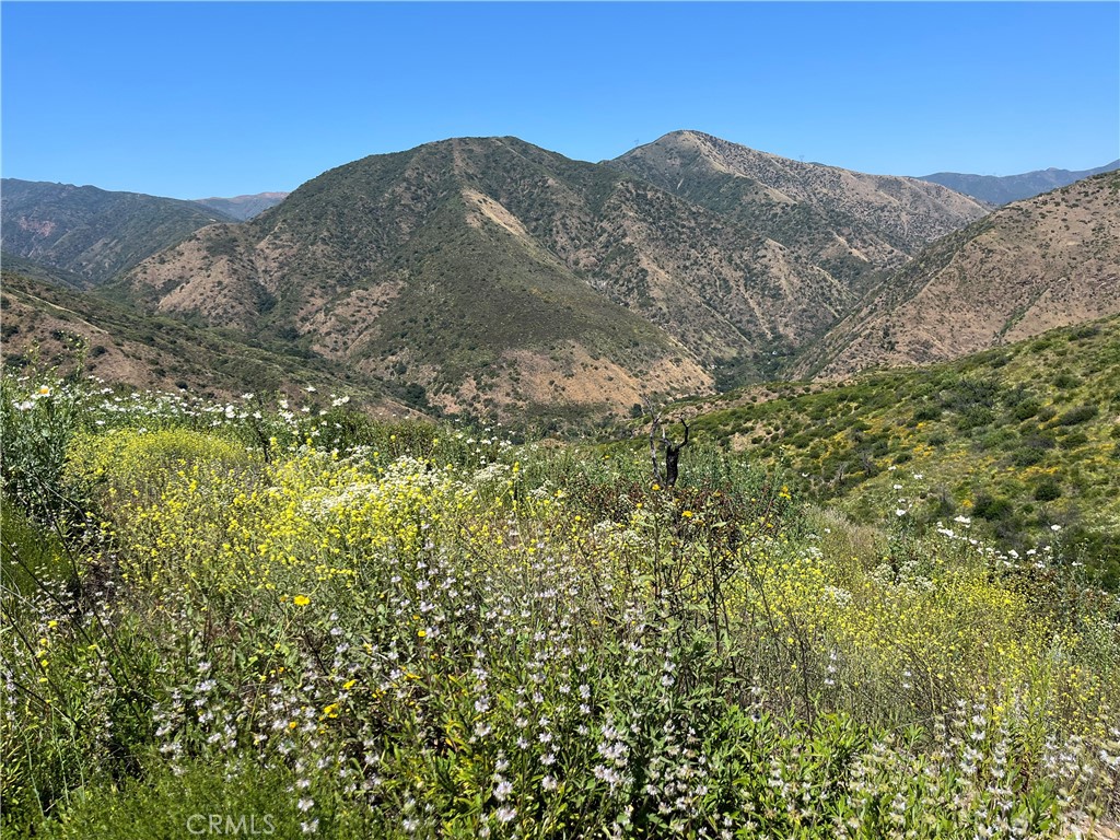 10 Williams Canyon Road Property Photo 4