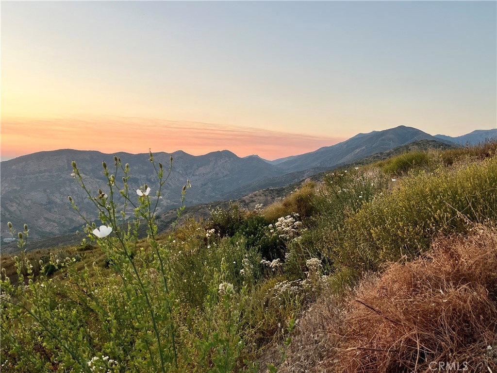 10 Williams Canyon Road Property Photo 5