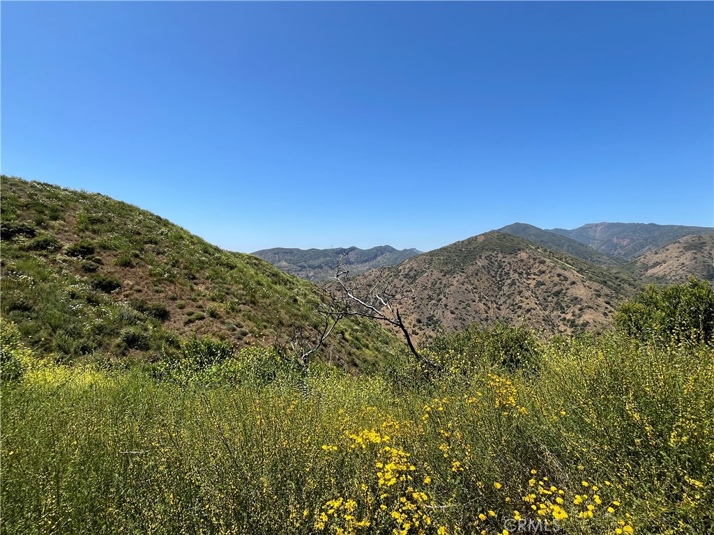 10 Williams Canyon Road Property Photo 8