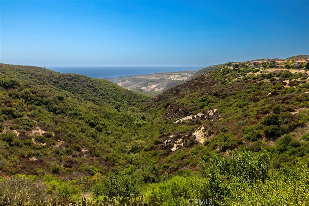 8 Night Sky Property Photo 7
