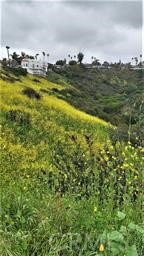0 El Levante Property Photo 4