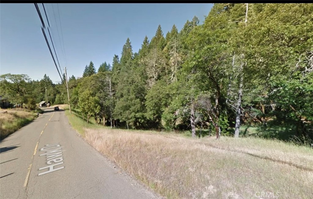25932 Hawk Drive Property Photo 4