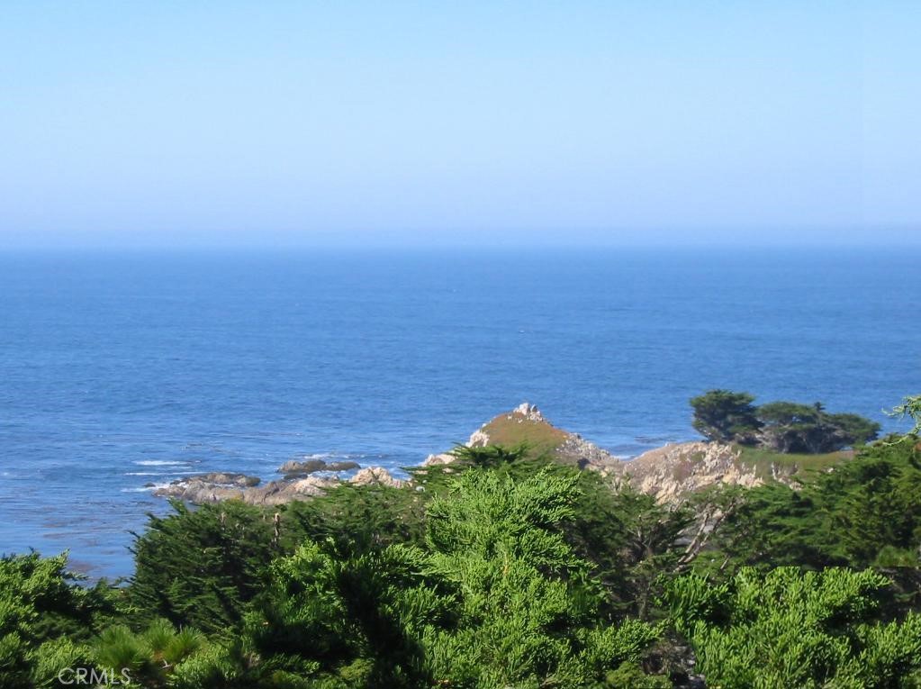 Carmel Highlands Real Estate Listings Main Image