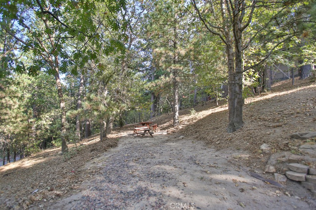 30137 Pixie Drive Property Photo 3