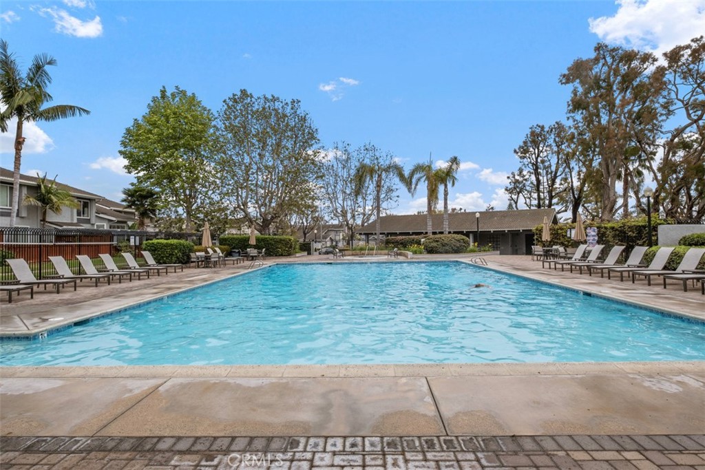 3386 Calle La Veta Property Photo 34