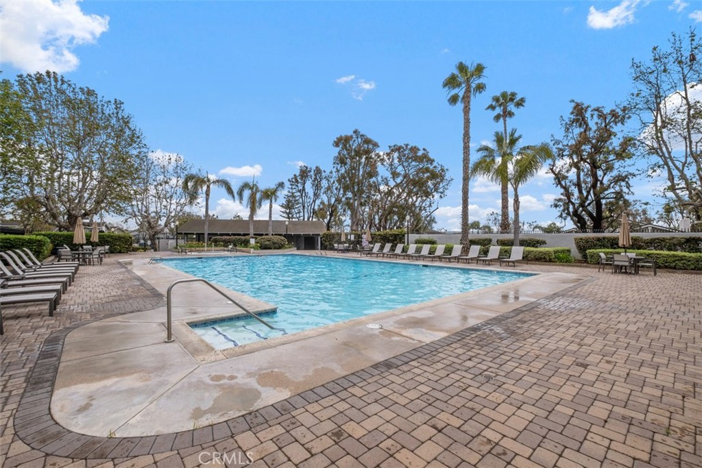 3386 Calle La Veta Property Photo 35