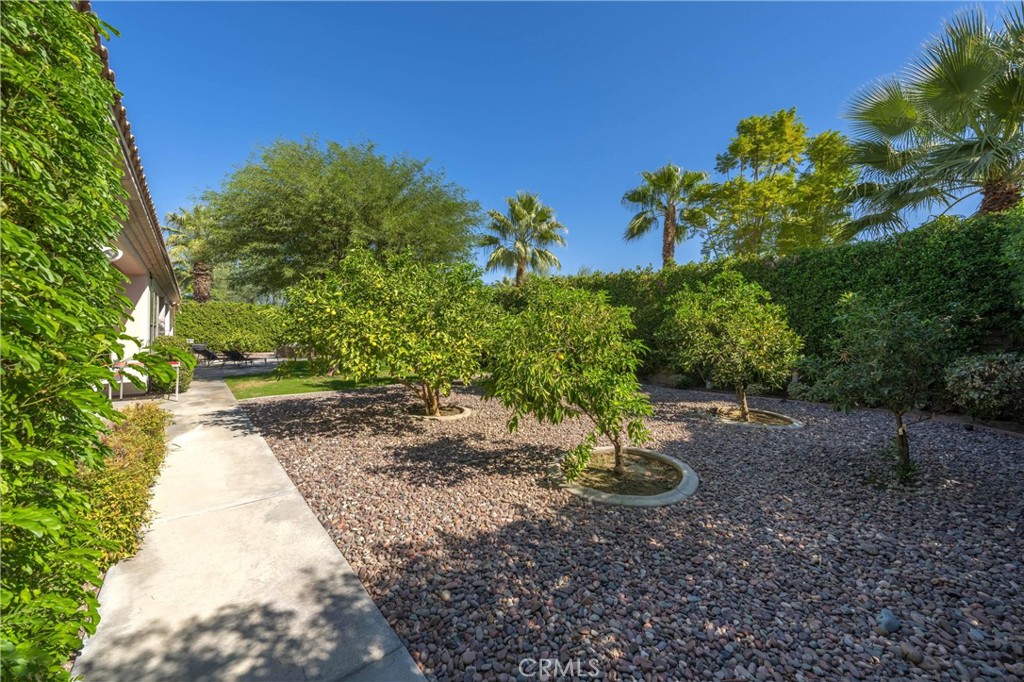 79690 Rancho San Pascual Property Photo 65