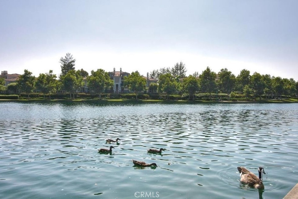 20891 Porter Ranch Road Property Photo 43
