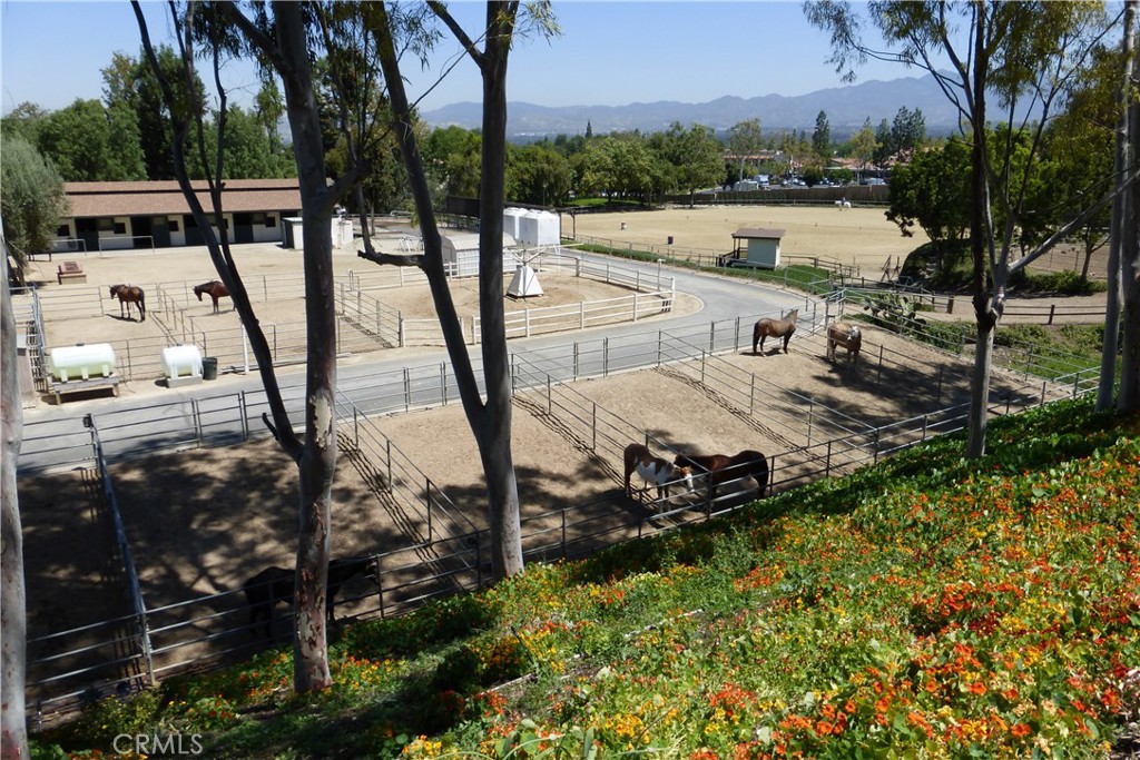 3235 San Amadeo A Property Photo 19