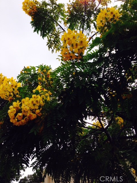 3235 San Amadeo A Property Photo 23