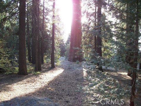 54584 Ponderosa Drive Property Photo