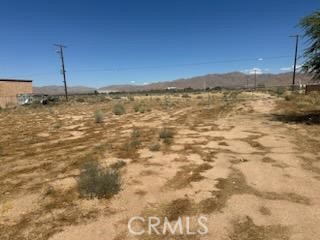 0 Pioneer Road Property Photo 3