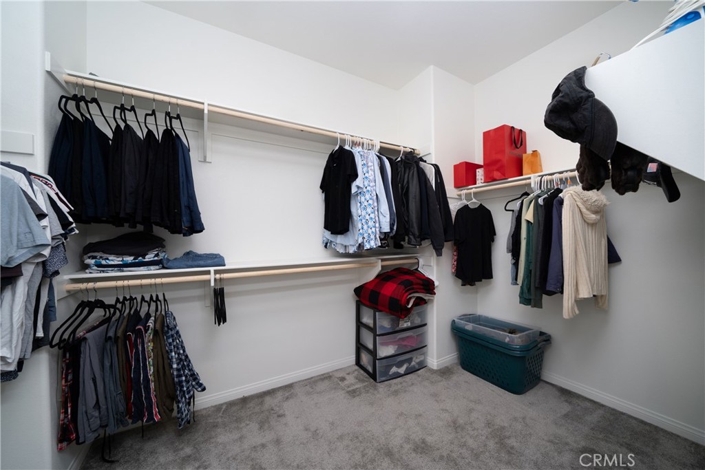 32171 Dymondia Way Property Photo 19
