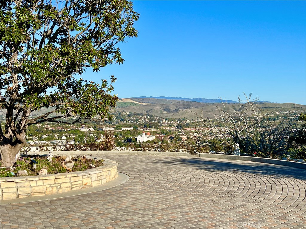 31541 Peppertree Bend Property Photo 8