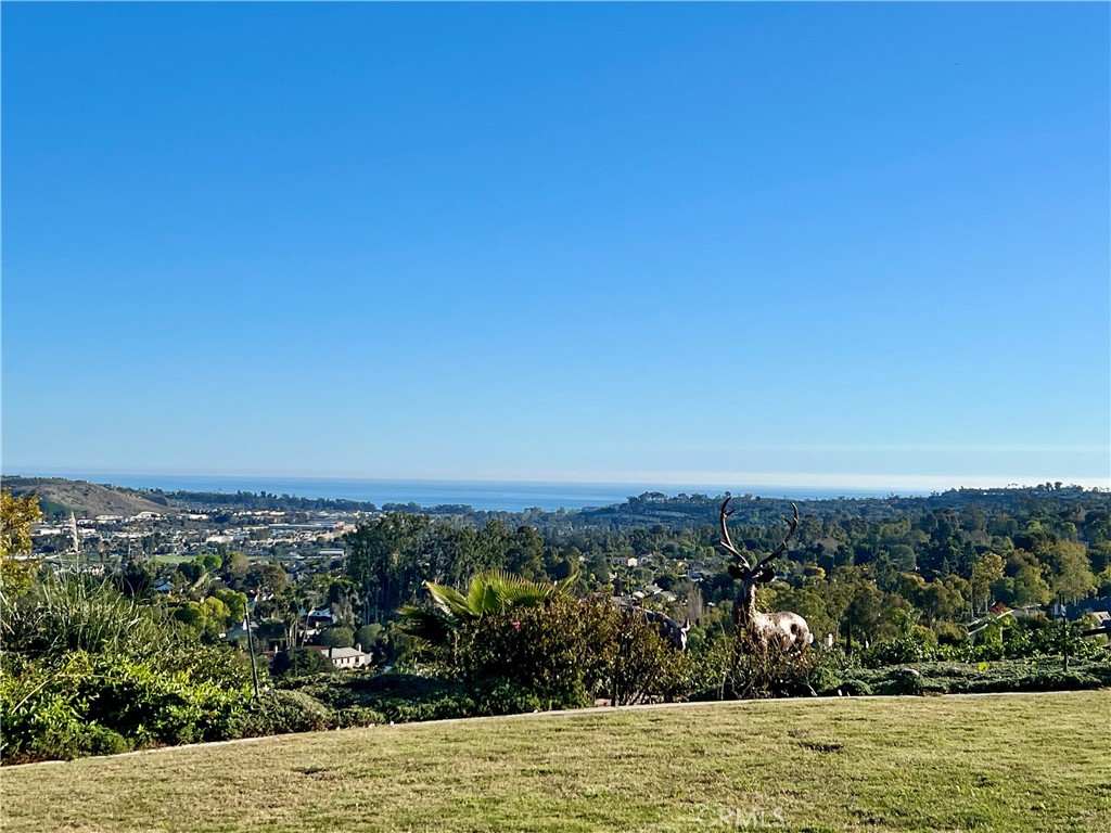 31541 Peppertree Bend Property Photo 61