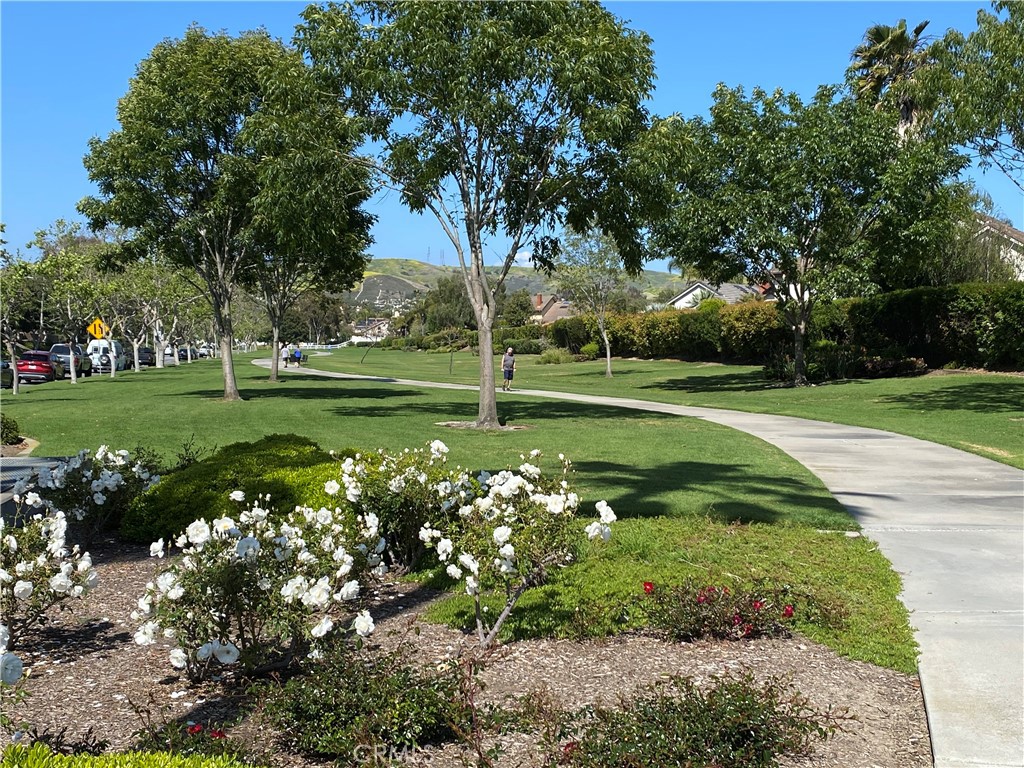 2897 Calle Heraldo Property Photo 23