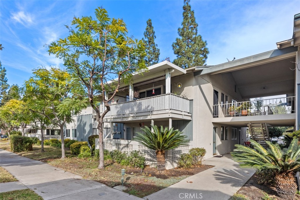 46 Calle Aragon R Property Photo 12