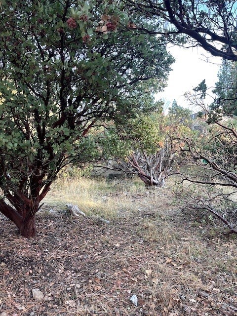 6172 Shad Way Property Photo 3