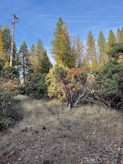 6172 Shad Way Property Photo 6