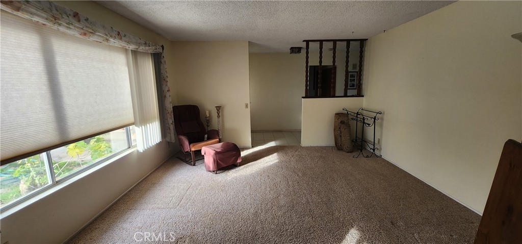 12491 Toby Lane Property Photo 6
