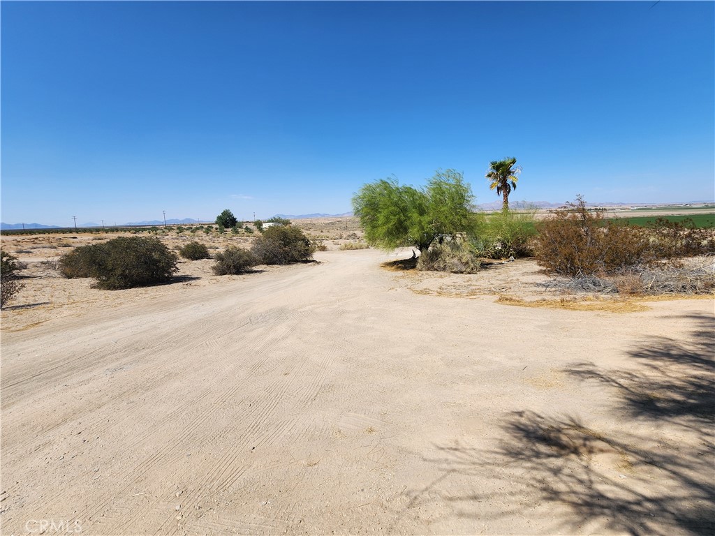 12491 Toby Lane Property Photo 42