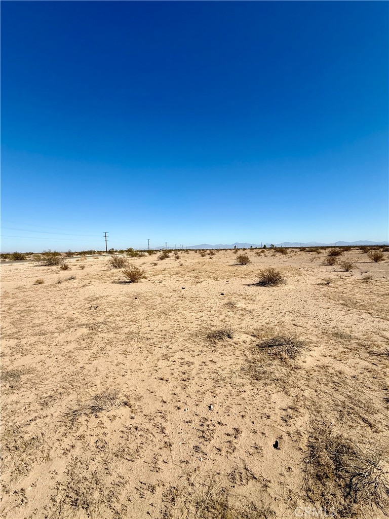 55 Acres. West Hobsonway Property Photo 2