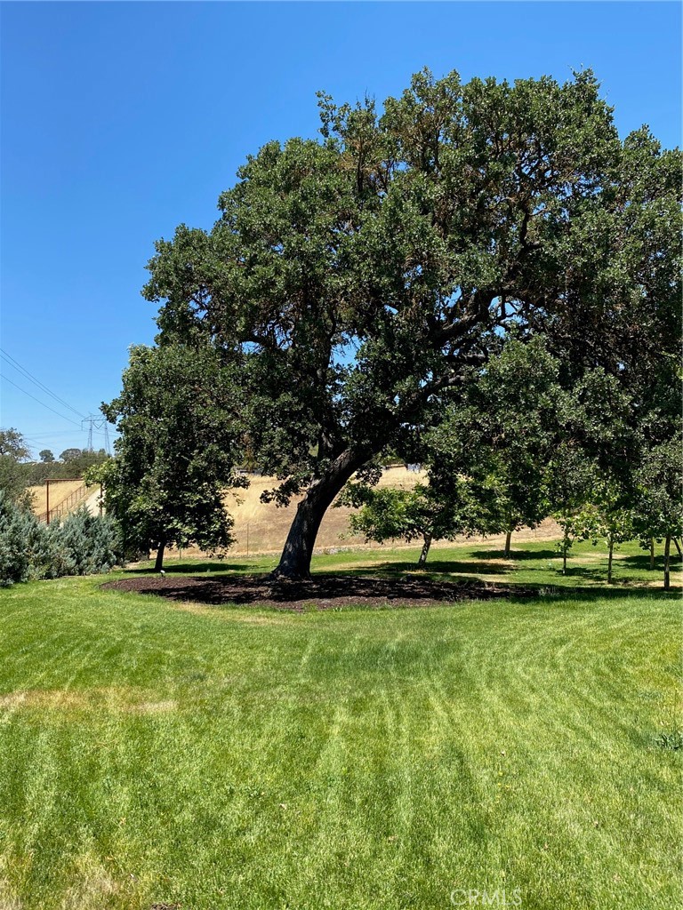 1340 Penman Springs Road Property Photo 11