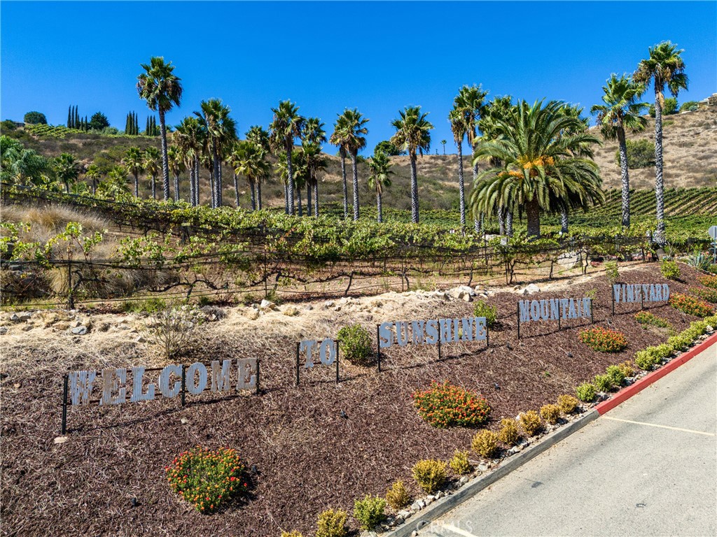 2284 Sunshine Mountain Road Property Photo 34