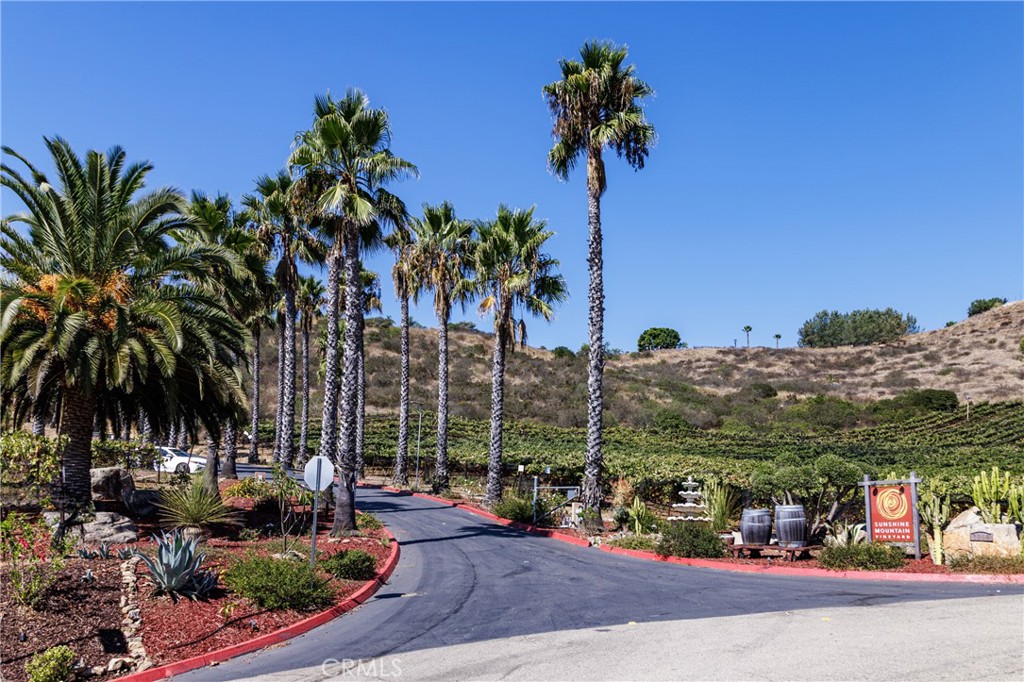 2284 Sunshine Mountain Road Property Photo 47