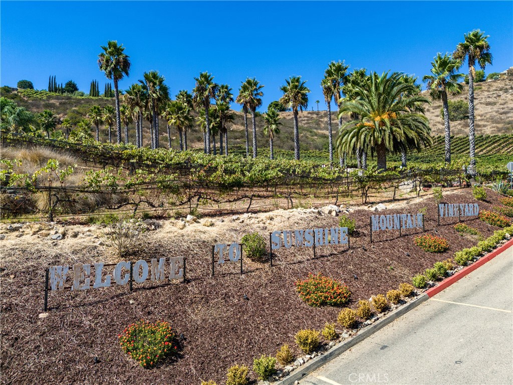 2284 Sunshine Mountain Road Property Photo 62