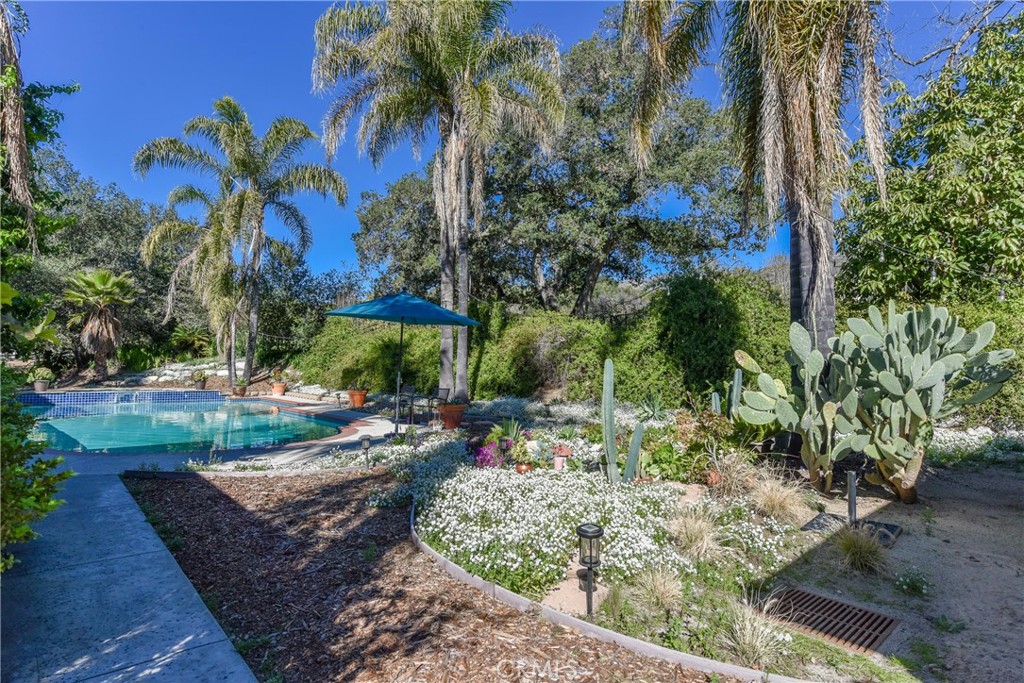 99 Bliss Canyon Road Property Photo 7