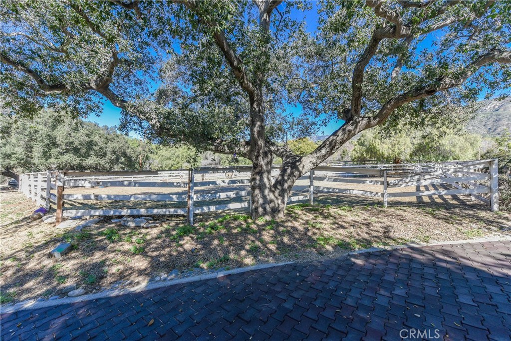 99 Bliss Canyon Road Property Photo 17