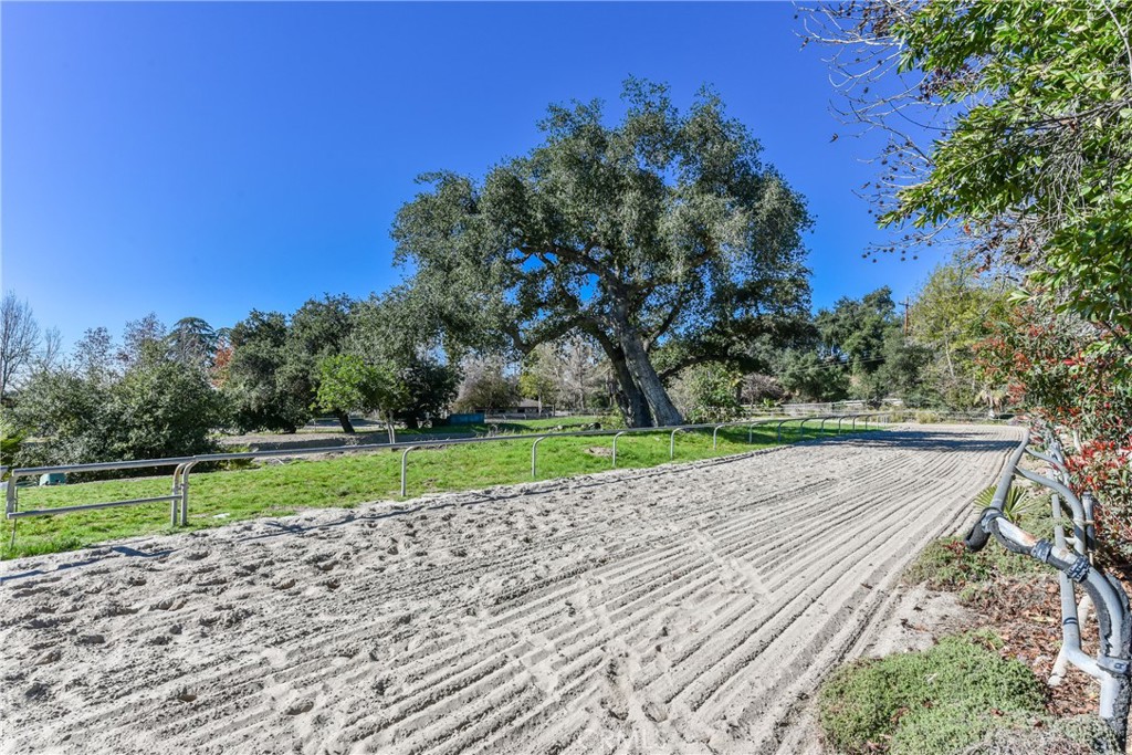 99 Bliss Canyon Road Property Photo 21