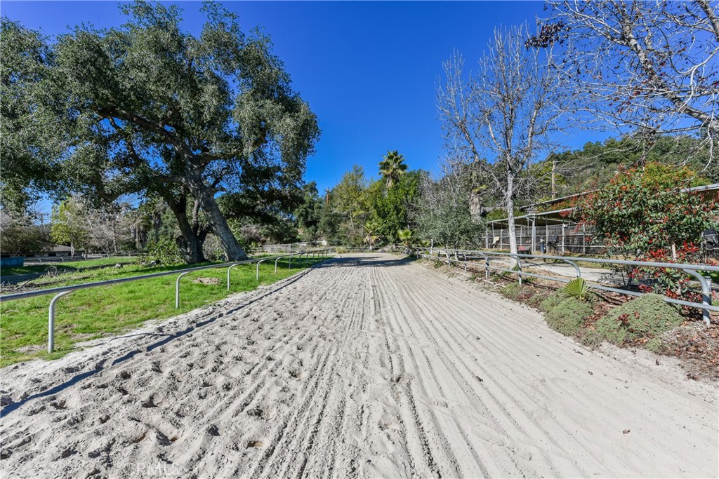 99 Bliss Canyon Road Property Photo 24