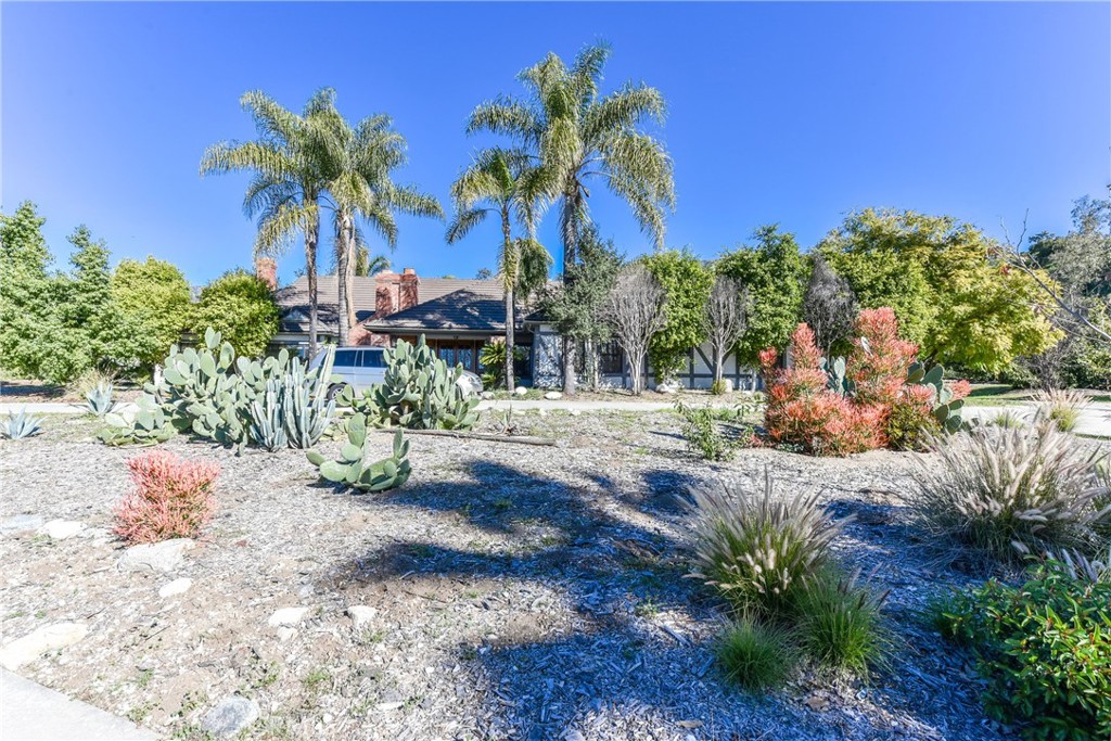 99 Bliss Canyon Road Property Photo 39
