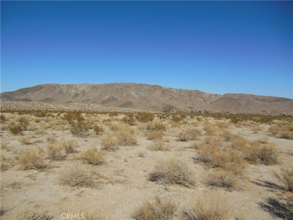 4119 29 Palms Hwy Lee Rd Property Photo 1
