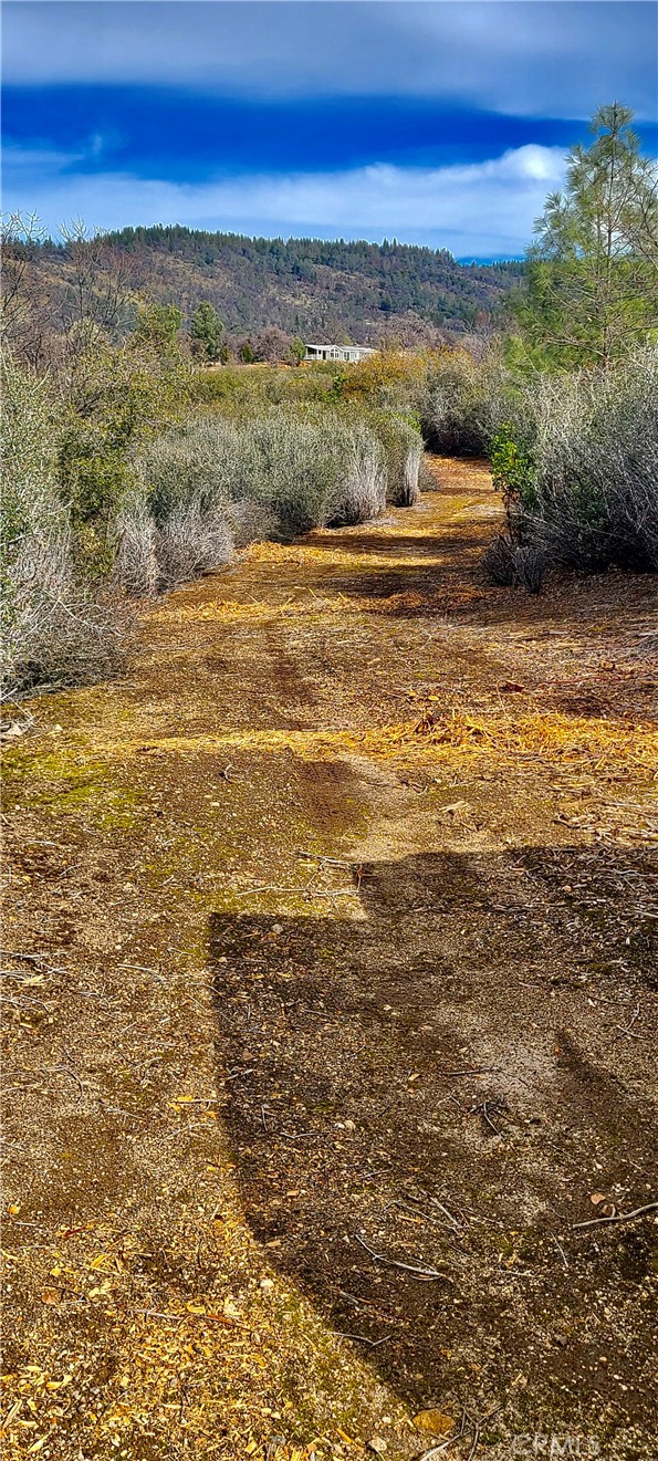 13 Battle View Drive Property Photo 18