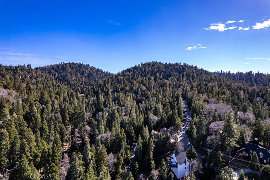 28622 Shenandoah Drive Property Photo 41