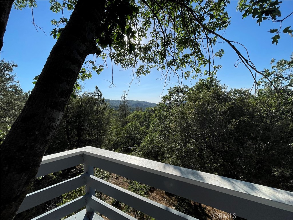 1446 Sequoia Property Photo 7