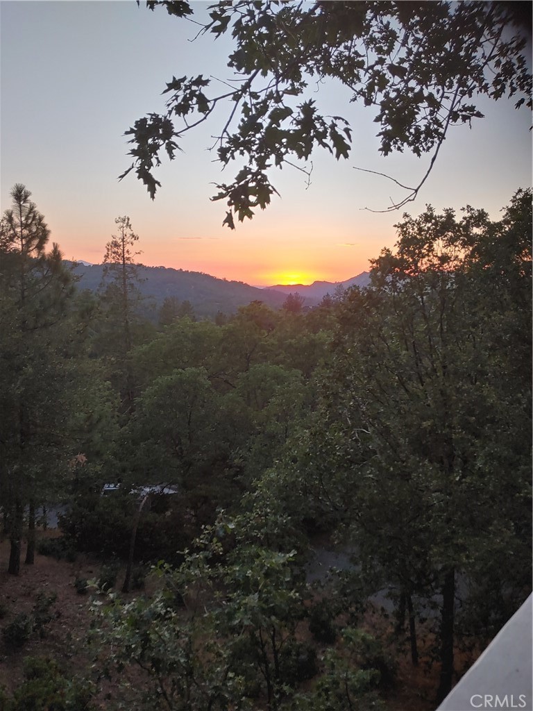 1446 Sequoia Property Photo 47